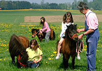 Ponyreiten auf dem Edmaier Hof